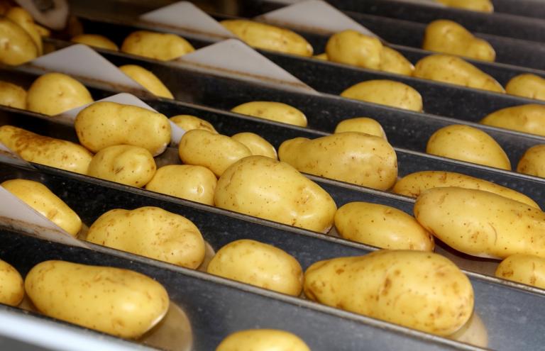 Record investments in the Belgian potato-processing sector Record investments in the Belgian potato-processing sector