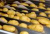 Record investments in the Belgian potato-processing sector